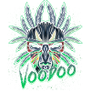 Cool Modern Voodoo Voodoo