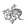 lizard