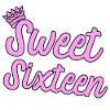 16th Birthday Shirt Idea Gift