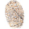 Fingerprint wood