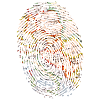 Fingerprint map