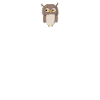 Kaffeeeule