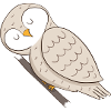 owl