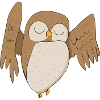 Owl Owl