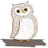Bird Owl