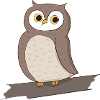 Owl Bird