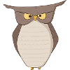 Owl Night Owls