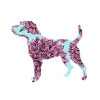 Flower Parson