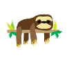sloth