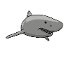 Shark, drawing, cartoon