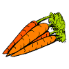 carrots