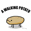 Une patate de marche