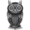 Owl owl owl
