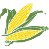 Grain graphic Yellow-green