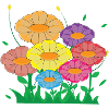 flower meadow