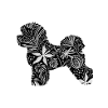 Flower Bichon Frize