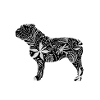 Bouledogue anglais