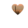 I love Hiddensee