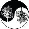 ying yang tree