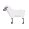 white cloud sheep