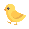 yellow running chick