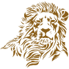 Drawing lion