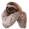 Sloth / Sloth