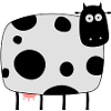Kuh