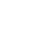 Holy Sri Yantra