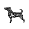 Blume JRT Glatt