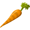 Carrot!