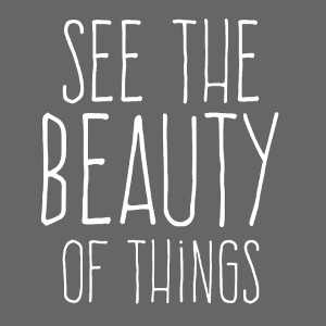 See the beauty of things B