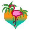 Flamingo im Wasser