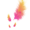 feather