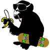 skateboard monkey