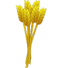 straw