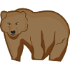 Grizzly Bear
