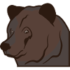 Bear head brown bear