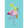 Flamtoucan affiche