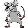 Mouse mice mousi little mice rat rodent pet
