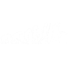 Evolution blacksmith