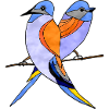 oiseaux