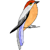 Oiseau