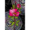 Red Roses