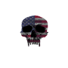 The 2nd Amendment
