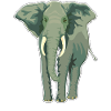 Éléphant