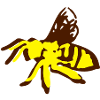 Honey Bee insect art -1
