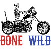 skeleton