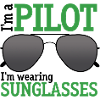 I'm a Pilot
