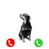 Hund Anruf | Hundemotiv | Geschenk